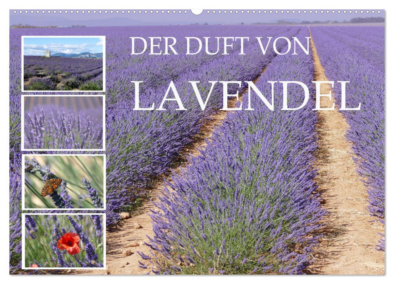 Der Duft von Lavendel (Wandkalender 2024 DIN A2 quer) CALVENDO Monatskalender