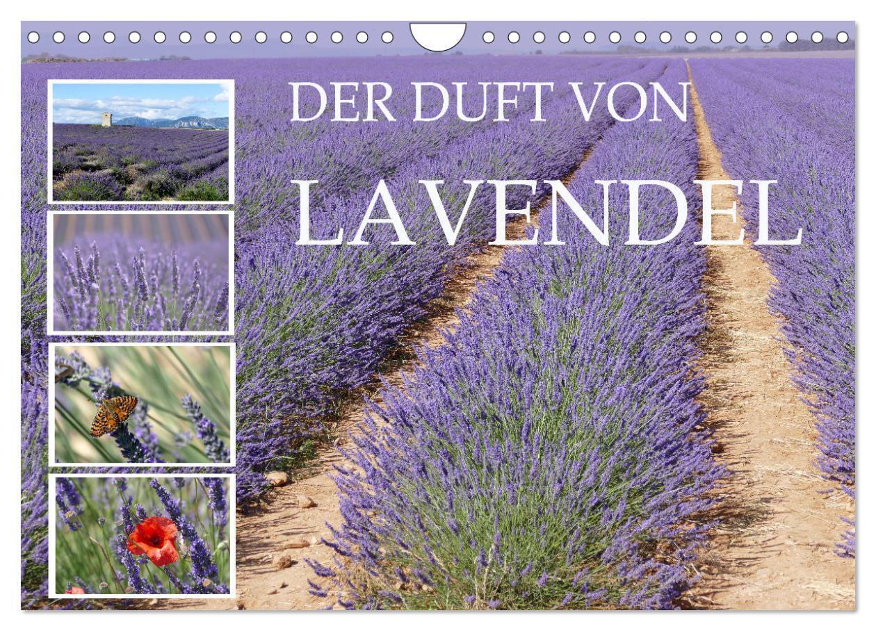 Der Duft von Lavendel (Wandkalender 2024 DIN A4 quer) CALVENDO Monatskalender