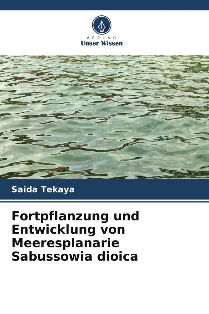Fortpflanzung und Entwicklung von Meeresplanarie Sabussowia dioica