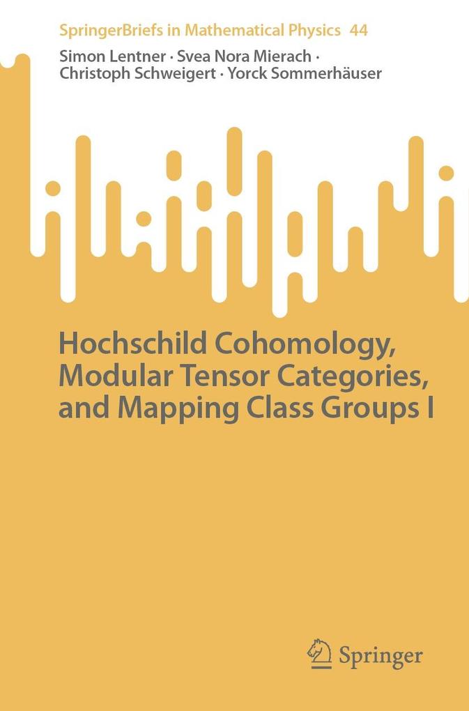 Hochschild Cohomology Modular Tensor Categories and Mapping Class Groups I