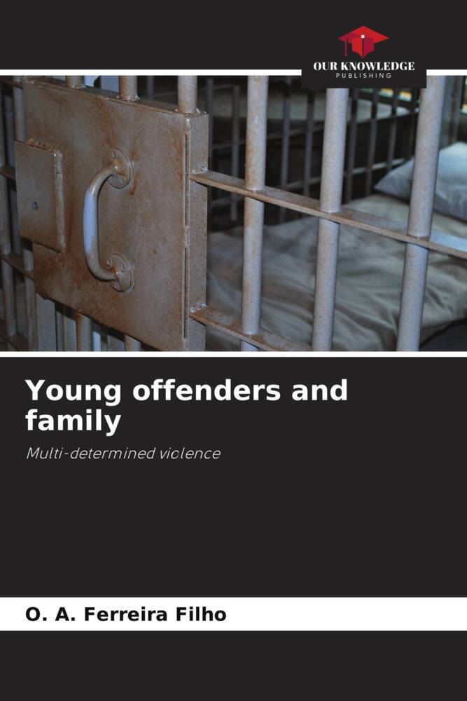 Young offenders and family