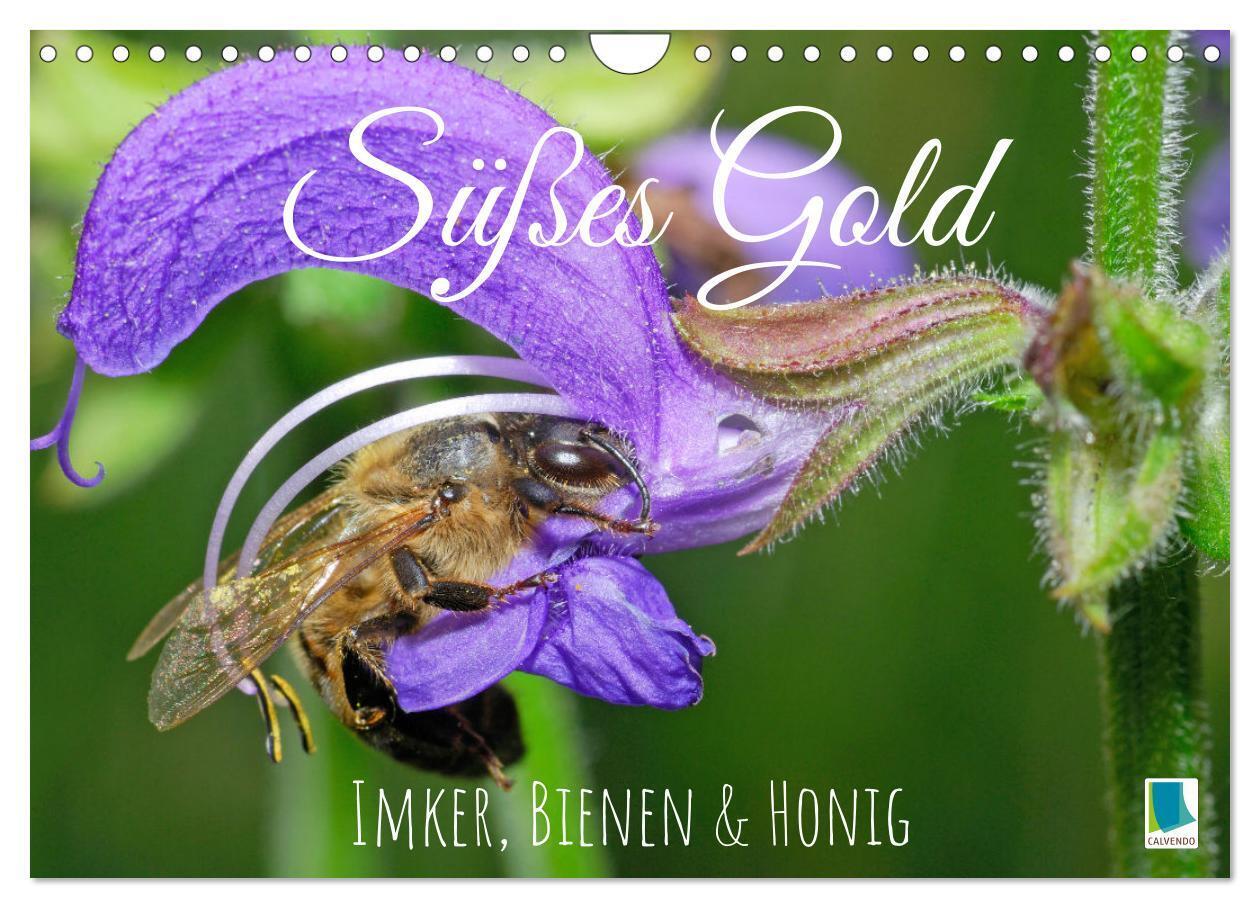 Süßes Gold: Imker Bienen & Honig (Wandkalender 2024 DIN A4 quer) CALVENDO Monatskalender