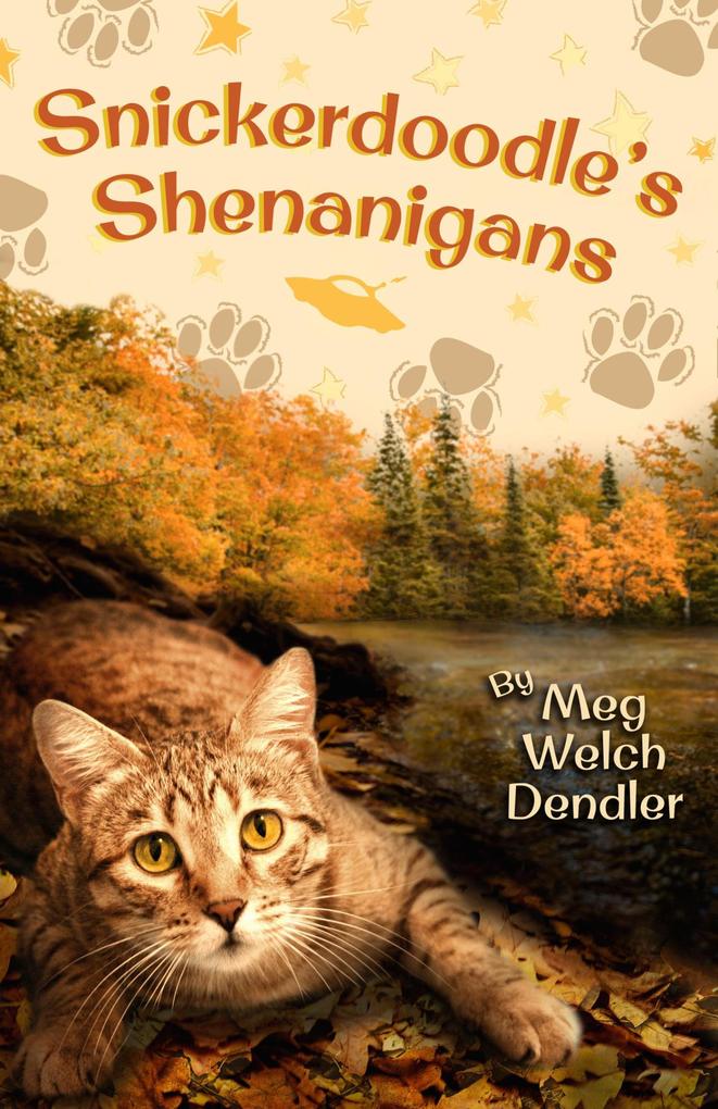 Snickerdoodle‘s Shenanigans (Cats in the Mirror #6)