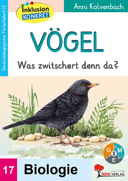 Vögel
