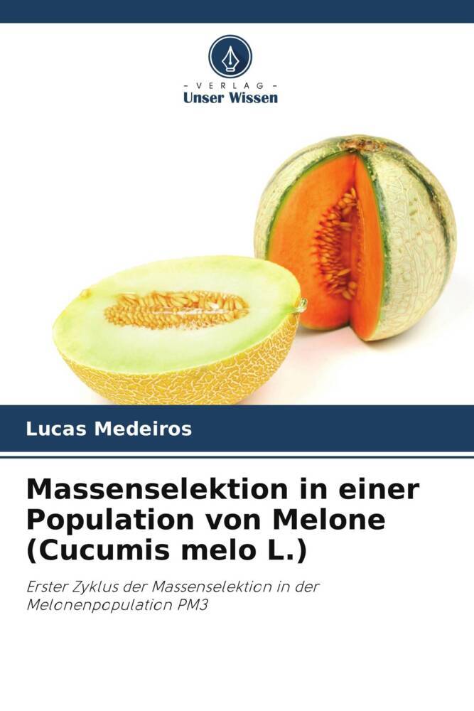 Massenselektion in einer Population von Melone (Cucumis melo L.)