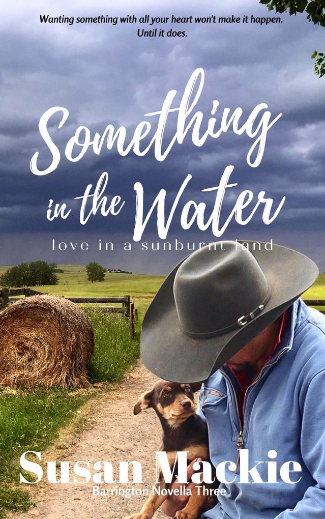 Something in the Water (Barrington Series #6)