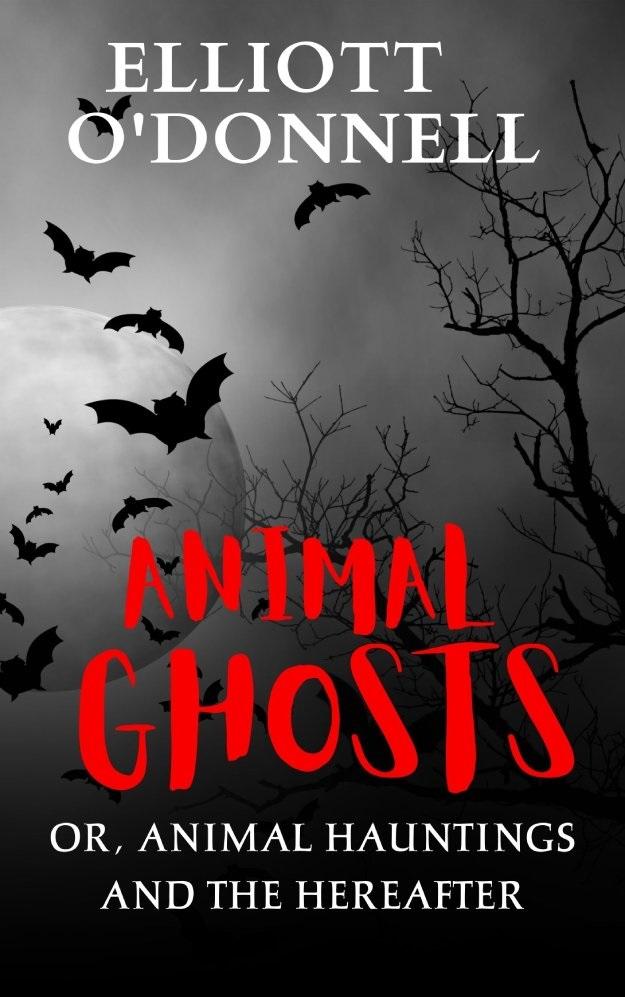 Animal Ghosts Or Animal Hauntings and the Hereafter