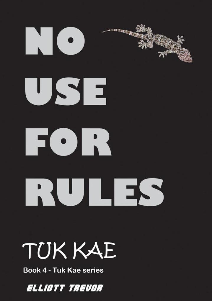 No Use For Rules (Tuk Kae Series)