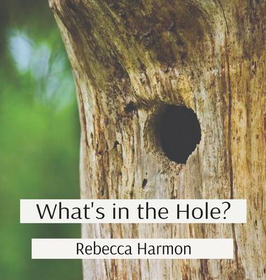 What‘s in the Hole?