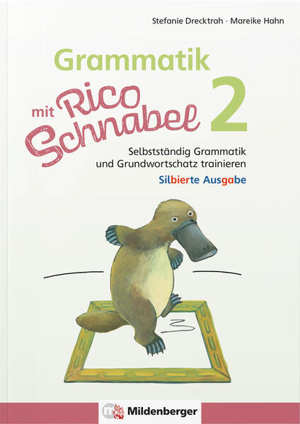 Grammatik mit Rico Schnabel Klasse 2 - silbierte Ausgabe