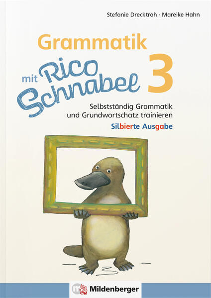 Grammatik mit Rico Schnabel Klasse 3 - silbierte Ausgabe