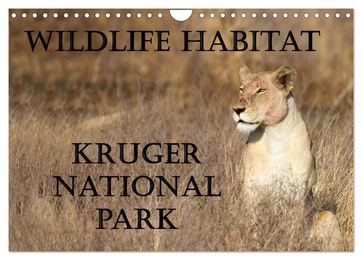 Wildlife Habitat Kruger National Park (Wall Calendar 2024 DIN A4 landscape) CALVENDO 12 Month Wall Calendar