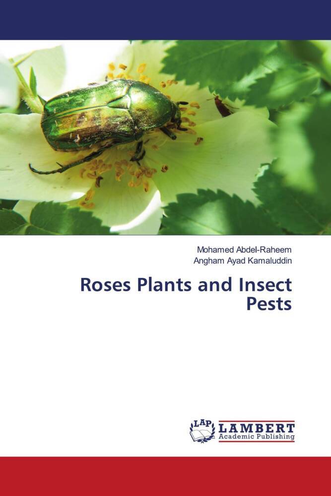 Roses Plants and Insect Pests
