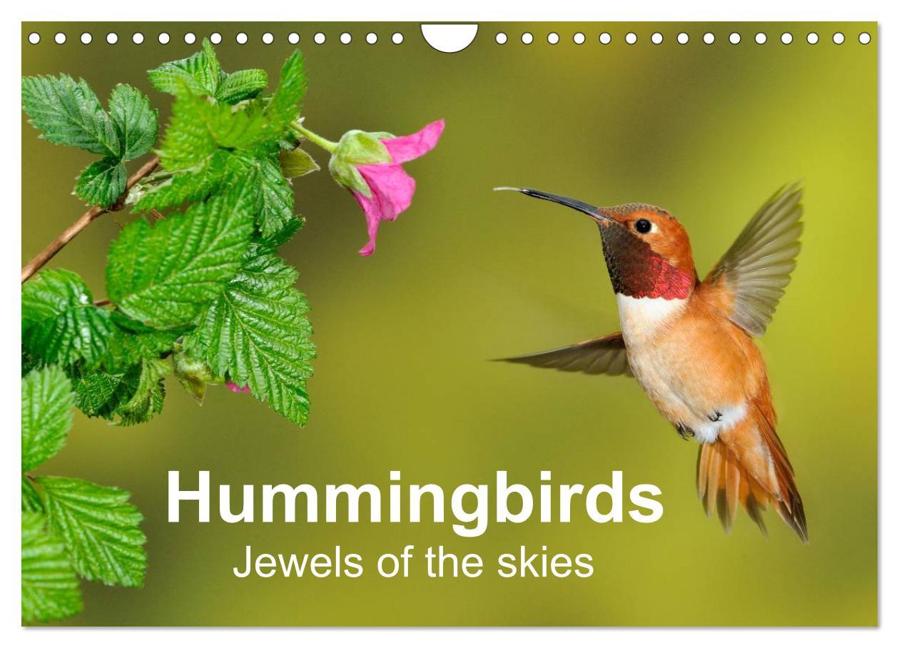 Hummingbirds Jewels of the skies (Wall Calendar 2024 DIN A4 landscape) CALVENDO 12 Month Wall Calendar