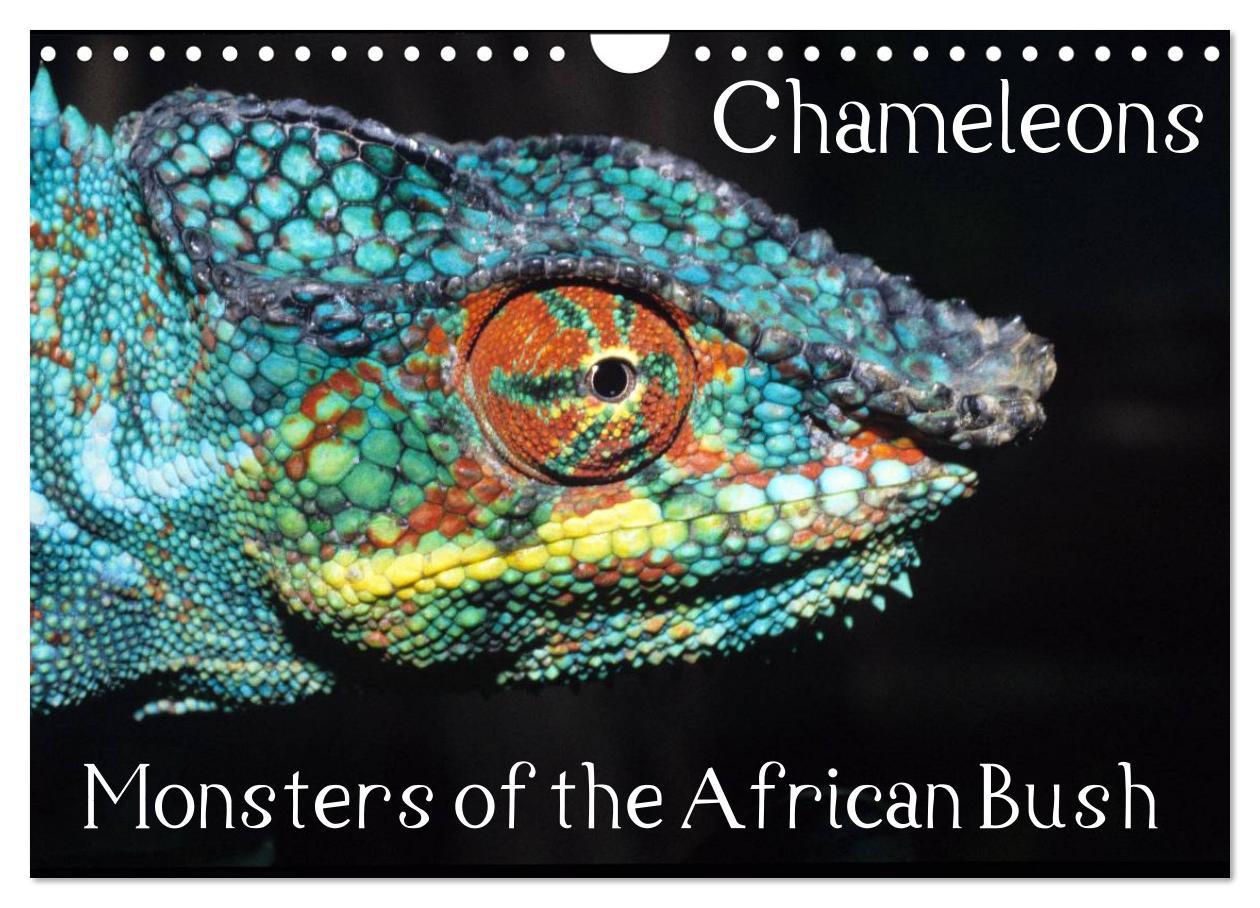 Chameleons Monsters of the African Bush (Wall Calendar 2024 DIN A4 landscape) CALVENDO 12 Month Wall Calendar