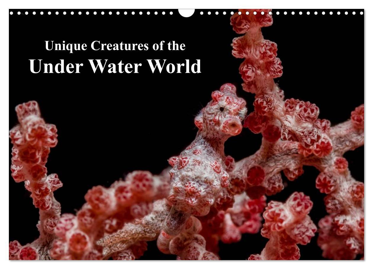 Unique Creatures of the Under Water World (Wall Calendar 2024 DIN A3 landscape) CALVENDO 12 Month Wall Calendar