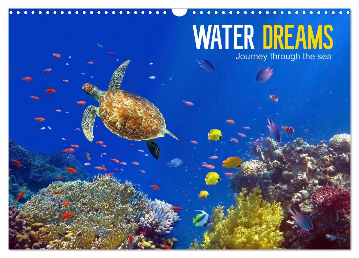 Water Dreams-journey through the sea (Wall Calendar 2024 DIN A3 landscape) CALVENDO 12 Month Wall Calendar