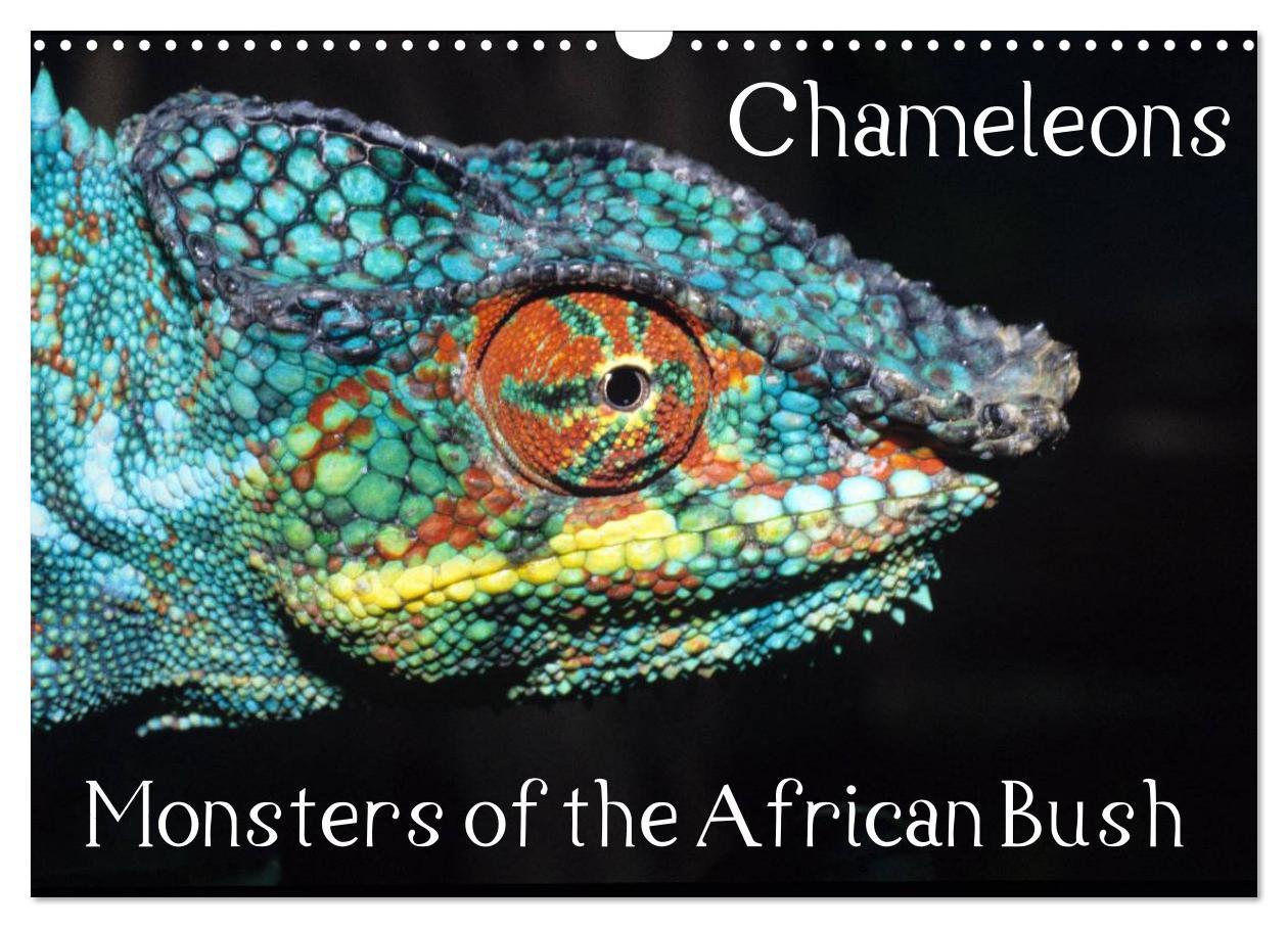 Chameleons Monsters of the African Bush (Wall Calendar 2024 DIN A3 landscape) CALVENDO 12 Month Wall Calendar