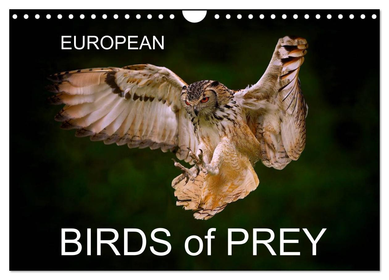 EUROPEAN BIRDS of PREY (Wall Calendar 2024 DIN A4 landscape) CALVENDO 12 Month Wall Calendar