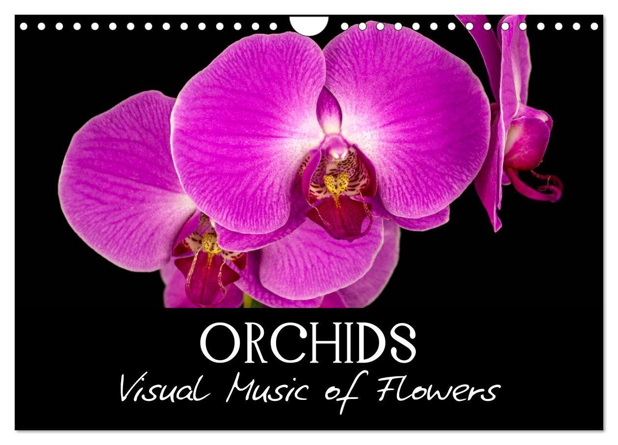 Orchids (Wall Calendar 2024 DIN A4 landscape) CALVENDO 12 Month Wall Calendar