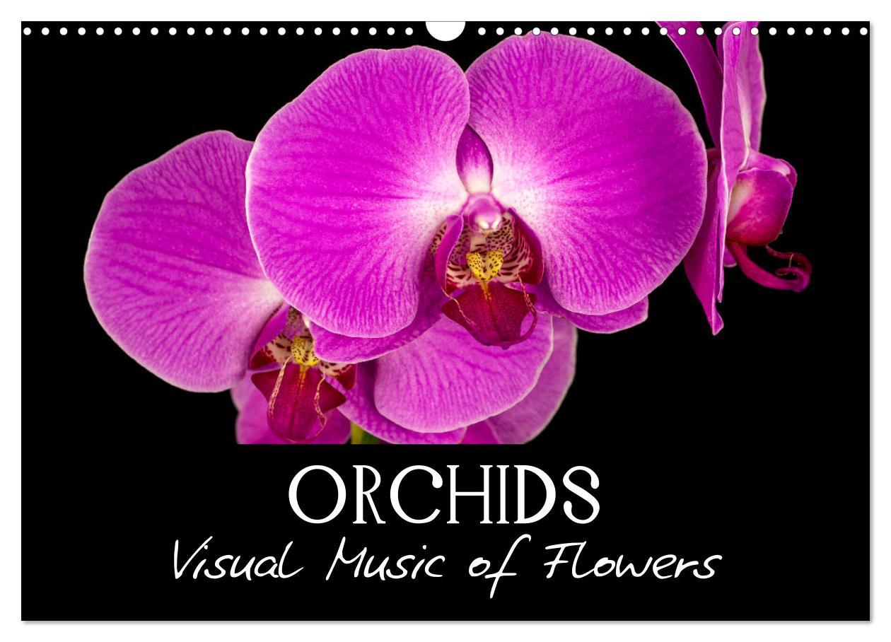 Orchids (Wall Calendar 2024 DIN A3 landscape) CALVENDO 12 Month Wall Calendar