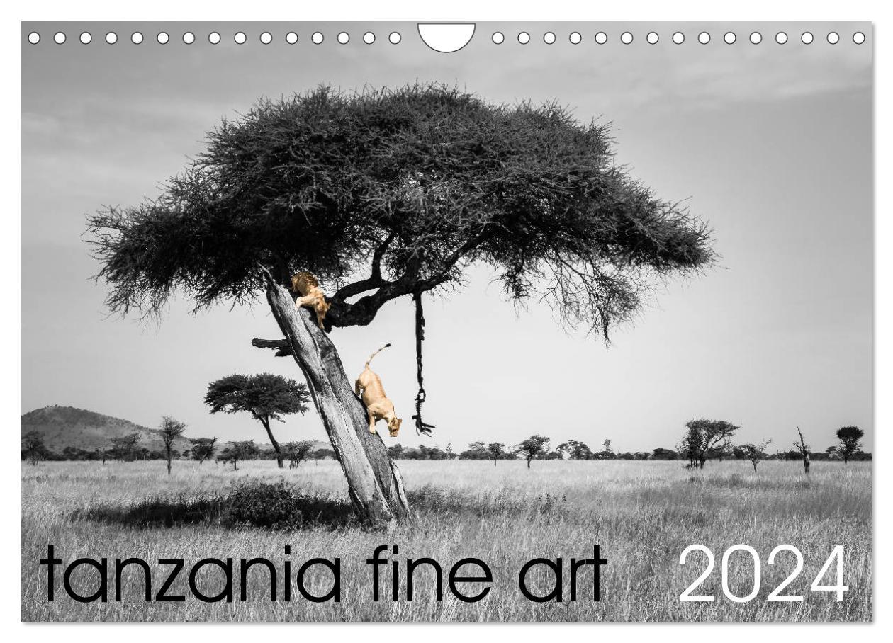 tanzania fine art (Wall Calendar 2024 DIN A4 landscape) CALVENDO 12 Month Wall Calendar