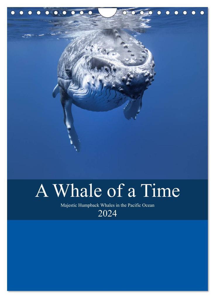 A Whale Of A Time (Wall Calendar 2024 DIN A4 portrait) CALVENDO 12 Month Wall Calendar