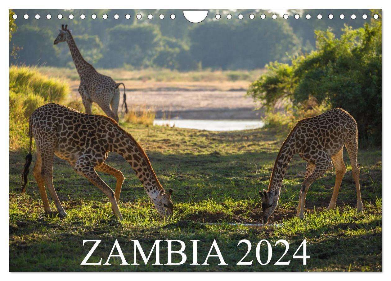 Zambia (Wall Calendar 2024 DIN A4 landscape) CALVENDO 12 Month Wall Calendar