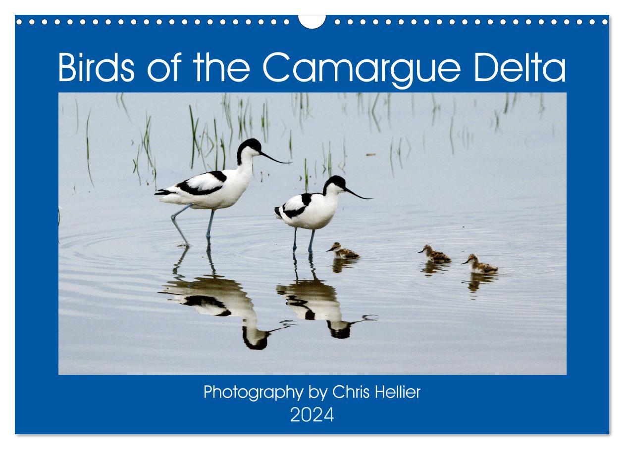 Birds of the Camargue Delta (Wall Calendar 2024 DIN A3 landscape) CALVENDO 12 Month Wall Calendar