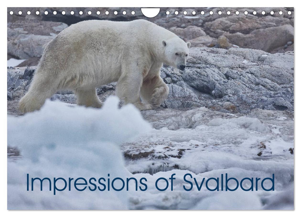 Impressions of Svalbard (Wall Calendar 2024 DIN A4 landscape) CALVENDO 12 Month Wall Calendar