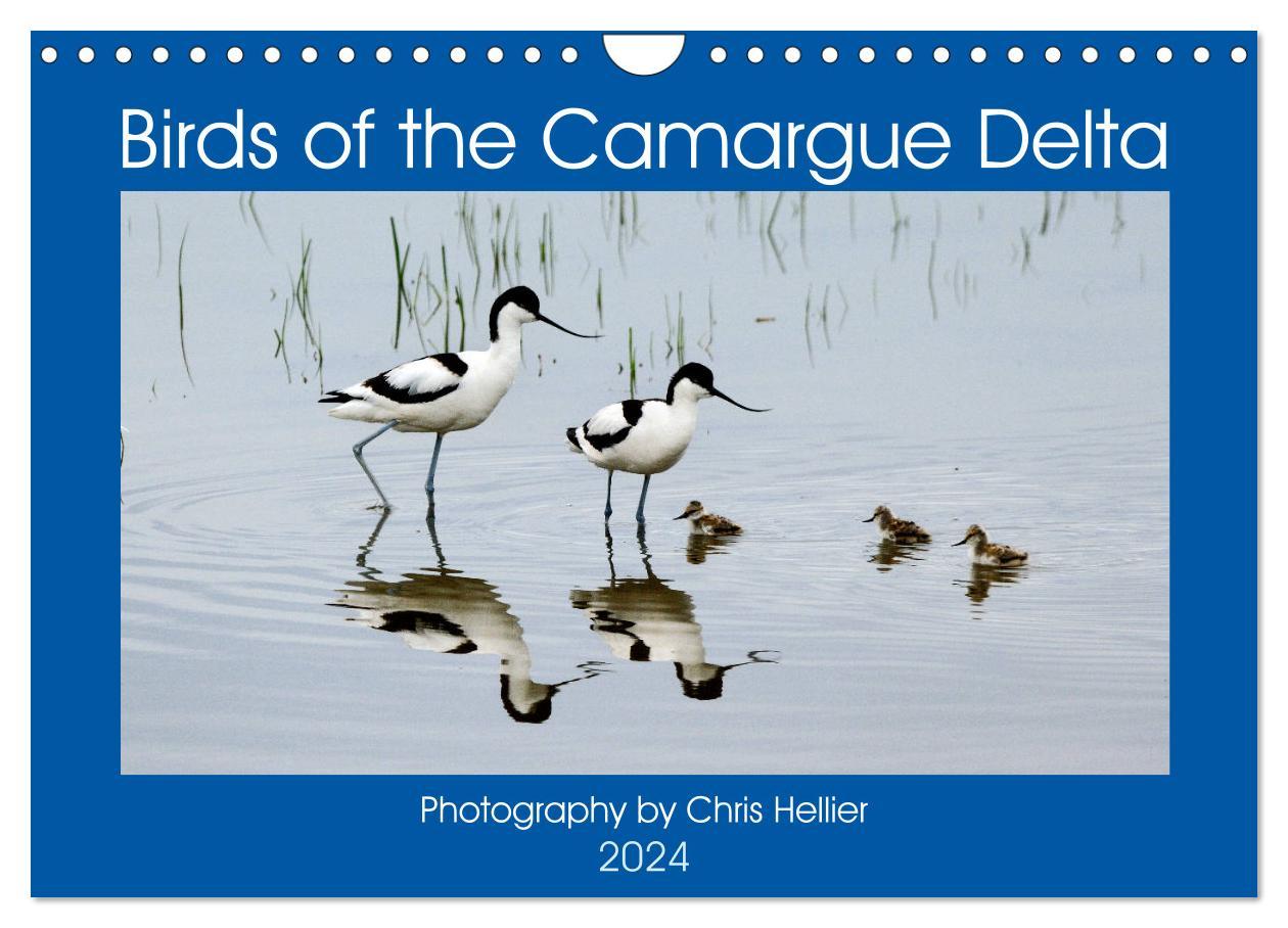 Birds of the Camargue Delta (Wall Calendar 2024 DIN A4 landscape) CALVENDO 12 Month Wall Calendar
