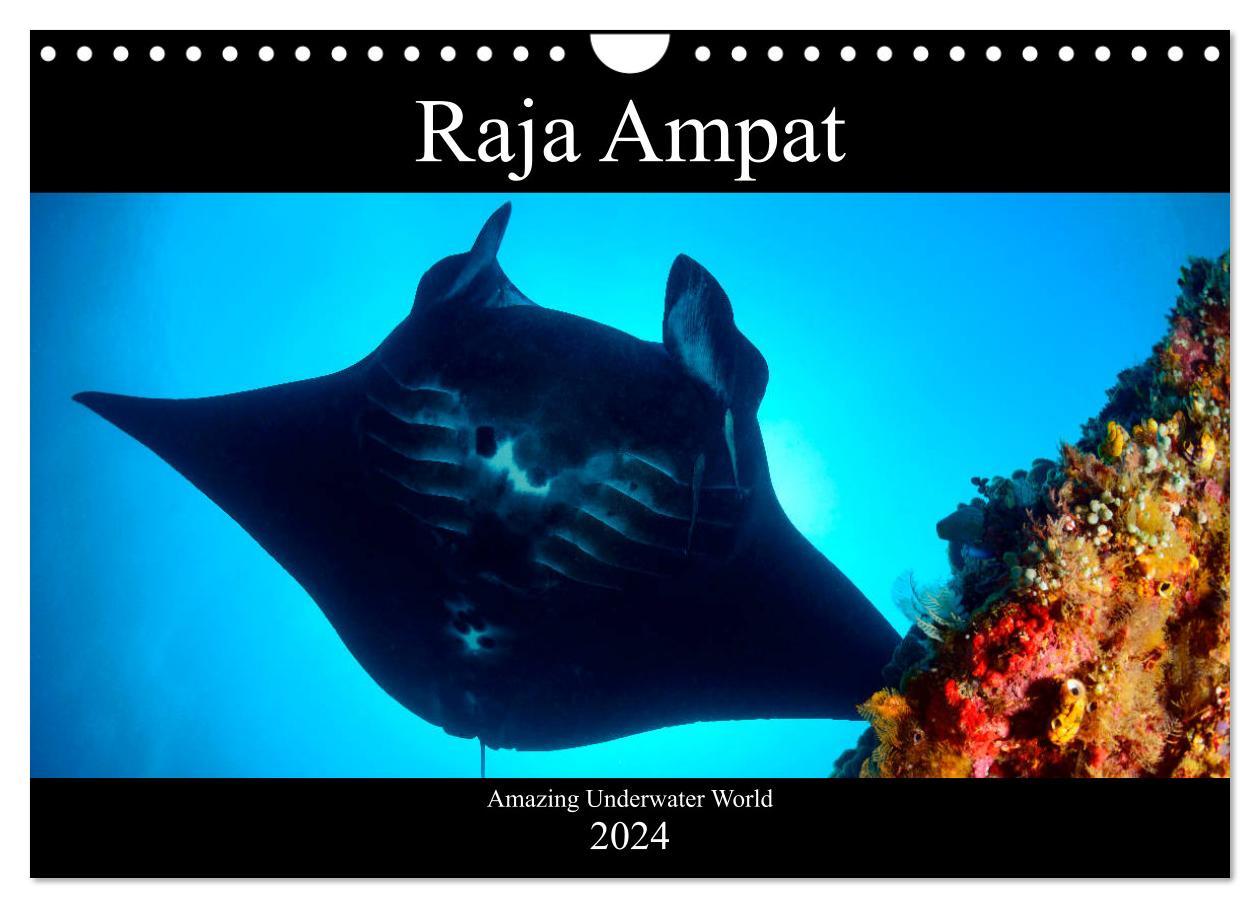Raja Ampat - Amazing Underwater World (Wall Calendar 2024 DIN A4 landscape) CALVENDO 12 Month Wall Calendar