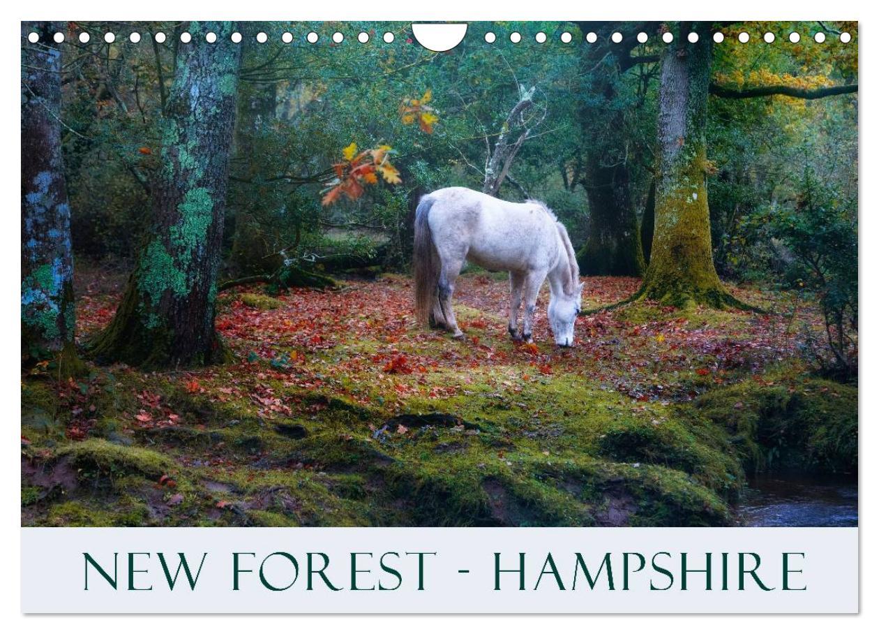 New Forest Hampshire (Wall Calendar 2024 DIN A4 landscape) CALVENDO 12 Month Wall Calendar