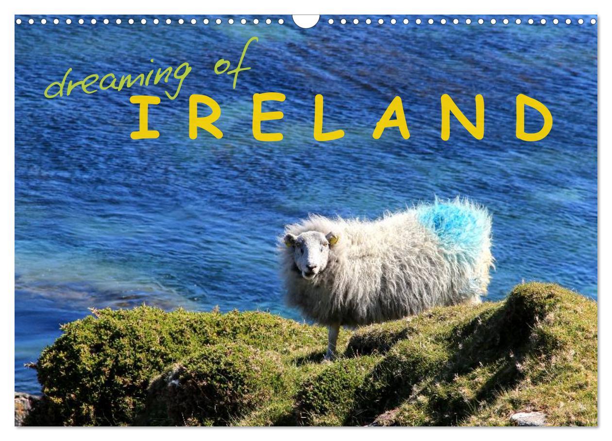 dreaming of IRELAND (Wall Calendar 2024 DIN A3 landscape) CALVENDO 12 Month Wall Calendar