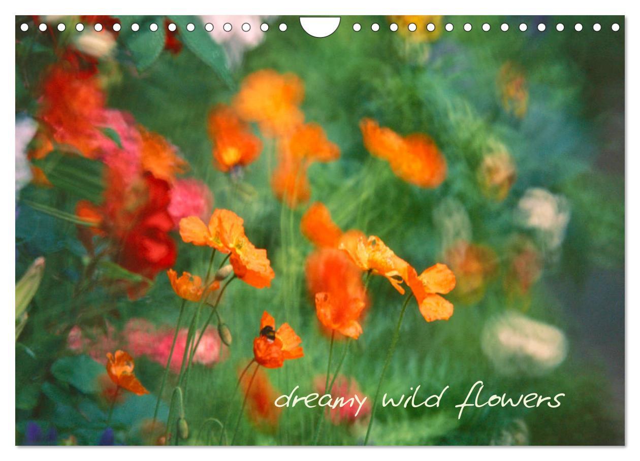 Dreamy Wild Flowers (Wall Calendar 2024 DIN A4 landscape) CALVENDO 12 Month Wall Calendar