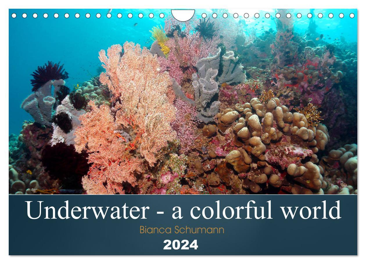 Underwater - a colorful world (Wall Calendar 2024 DIN A4 landscape) CALVENDO 12 Month Wall Calendar