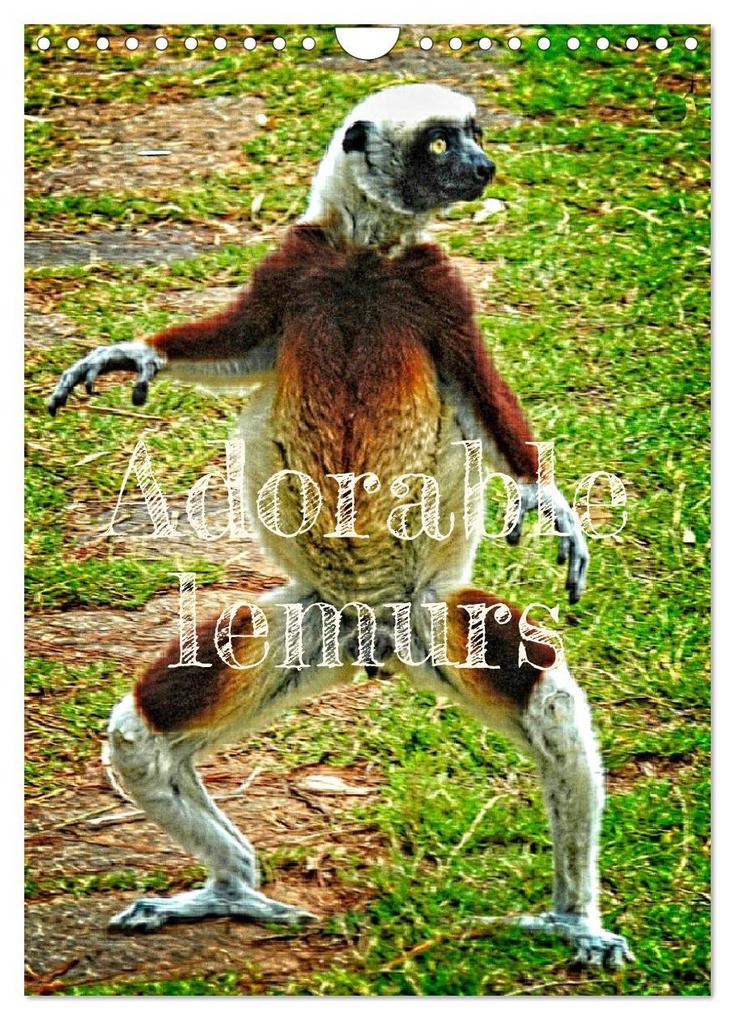 Adorable lemurs (Wall Calendar 2024 DIN A4 portrait) CALVENDO 12 Month Wall Calendar