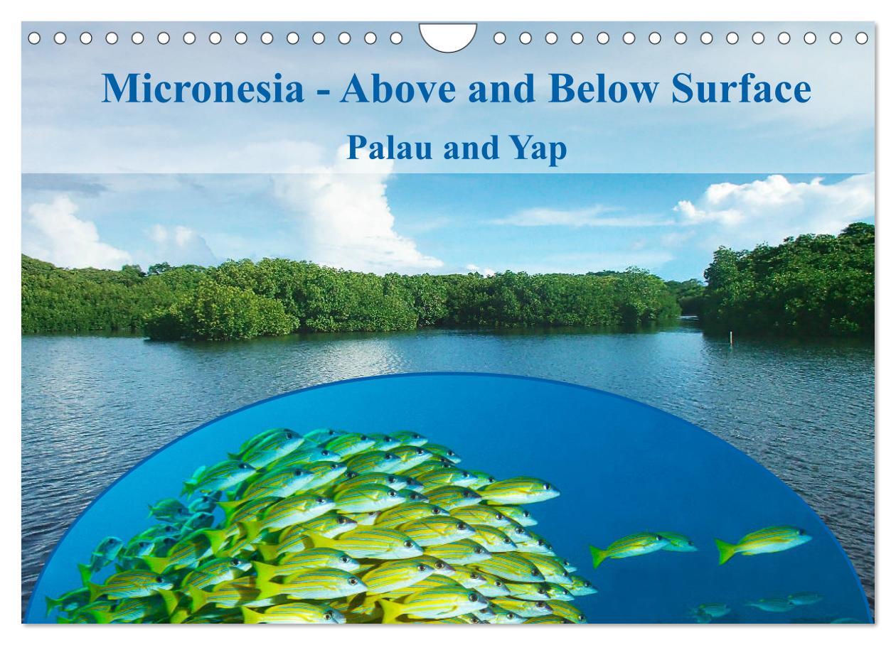Micronesia - Above and Below Surface (Wall Calendar 2024 DIN A4 landscape) CALVENDO 12 Month Wall Calendar