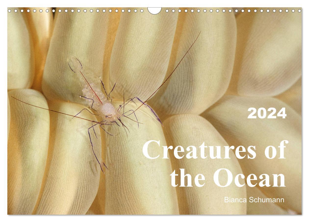 Creatures of the Ocean (Wall Calendar 2024 DIN A3 landscape) CALVENDO 12 Month Wall Calendar