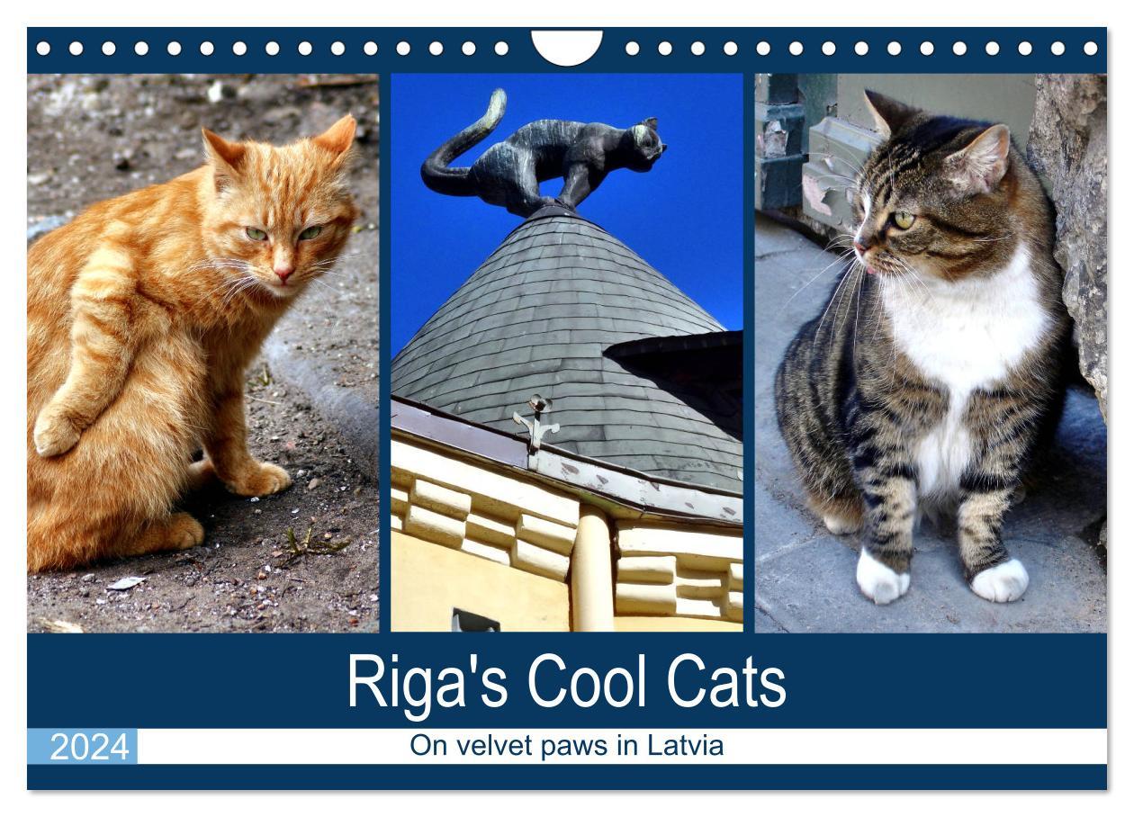 Riga‘s Cool Cats - On velvet paws in Latvia (Wall Calendar 2024 DIN A4 landscape) CALVENDO 12 Month Wall Calendar