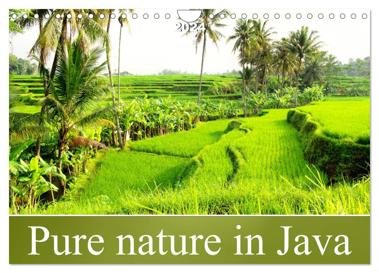 Pure nature in Java (Wall Calendar 2024 DIN A4 landscape) CALVENDO 12 Month Wall Calendar