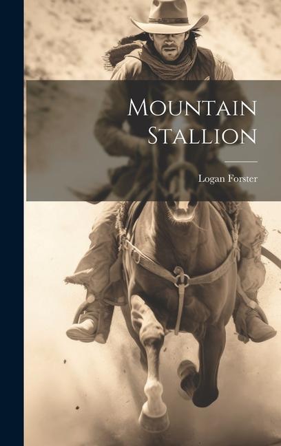 Mountain Stallion