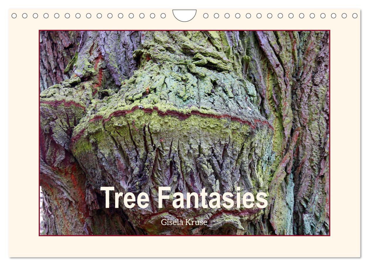Tree Fantasies (Wall Calendar 2024 DIN A4 landscape) CALVENDO 12 Month Wall Calendar