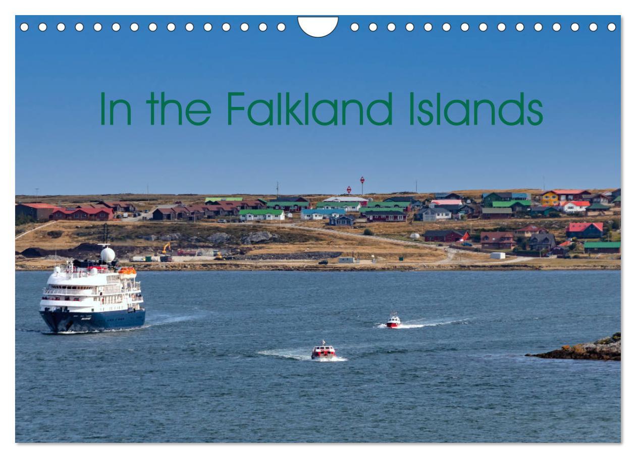 In the Falkland Islands (Wall Calendar 2024 DIN A4 landscape) CALVENDO 12 Month Wall Calendar