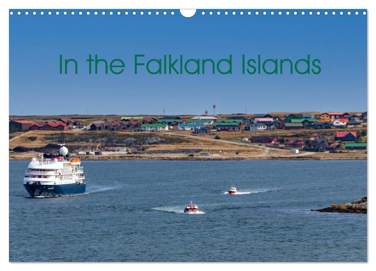 In the Falkland Islands (Wall Calendar 2024 DIN A3 landscape) CALVENDO 12 Month Wall Calendar