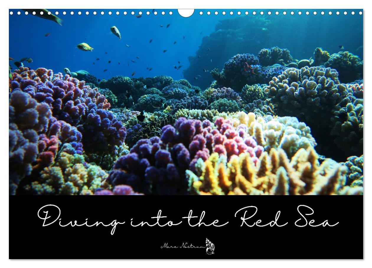 Diving into the Red Sea (Wall Calendar 2024 DIN A3 landscape) CALVENDO 12 Month Wall Calendar