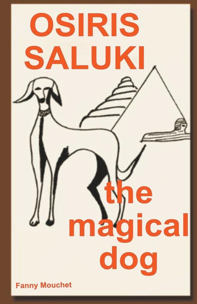 Osiris Saluki the magical dog