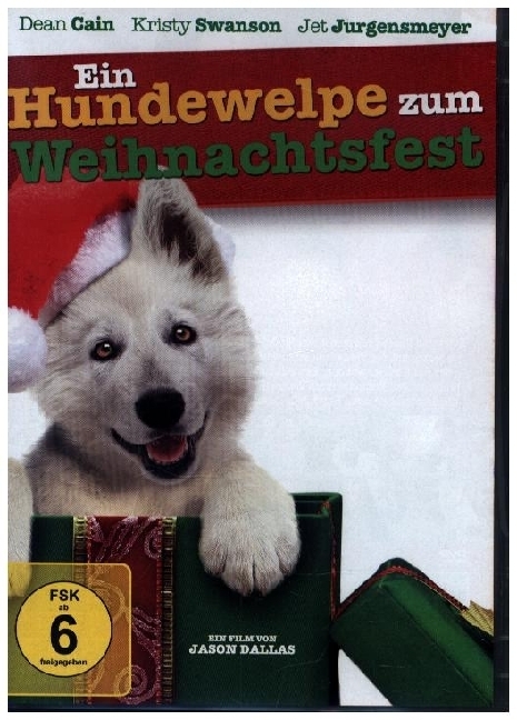 Ein Hundewelpe zum Weihnachtsfest