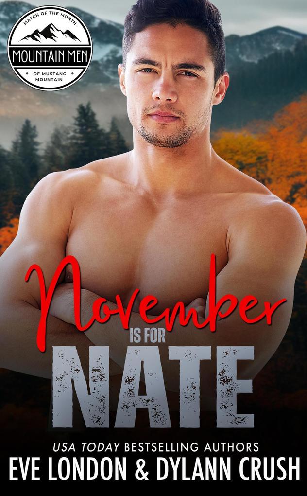 November is for Nate (Mountain Men of Mustang Mountain #11)