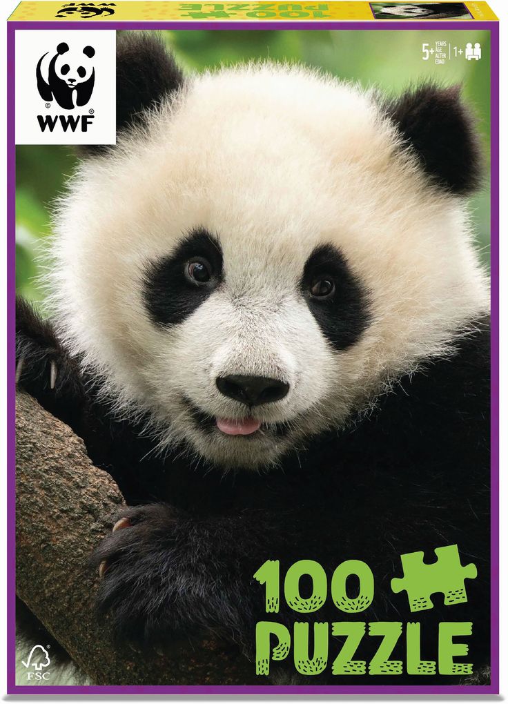 Ambassador - Panda 100 Teile